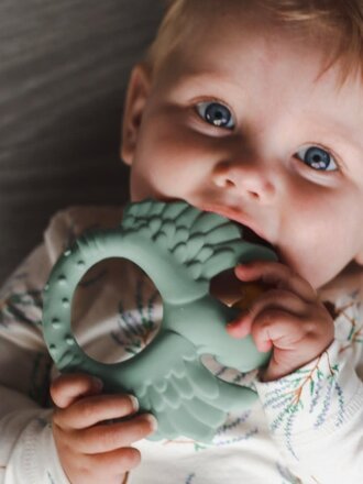 Natruba Teether Parrot Light Green