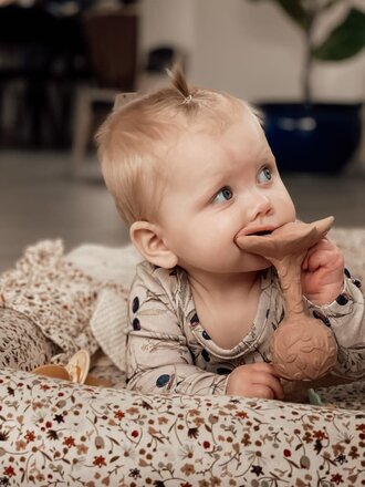 Natruba Rattle/Teether Plumeria-Rose