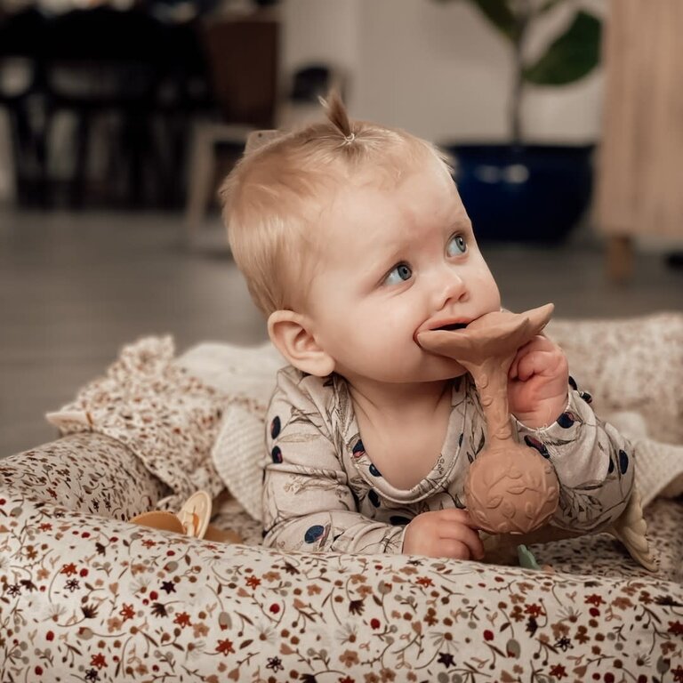 Natruba Rattle/Teether Plumeria-Rose