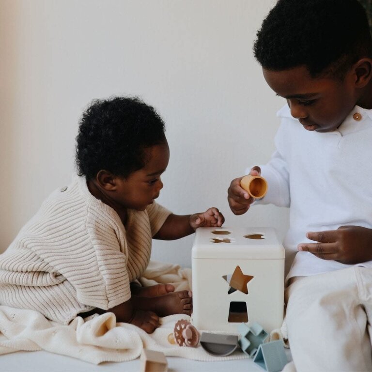 Mushie Shape Sorting Box