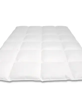 Cassenz Dekbed Rembrandt 100% Mazurische Ganzendons Cassenz Dekbed Rembrandt 100% Mazurische Ganzendons