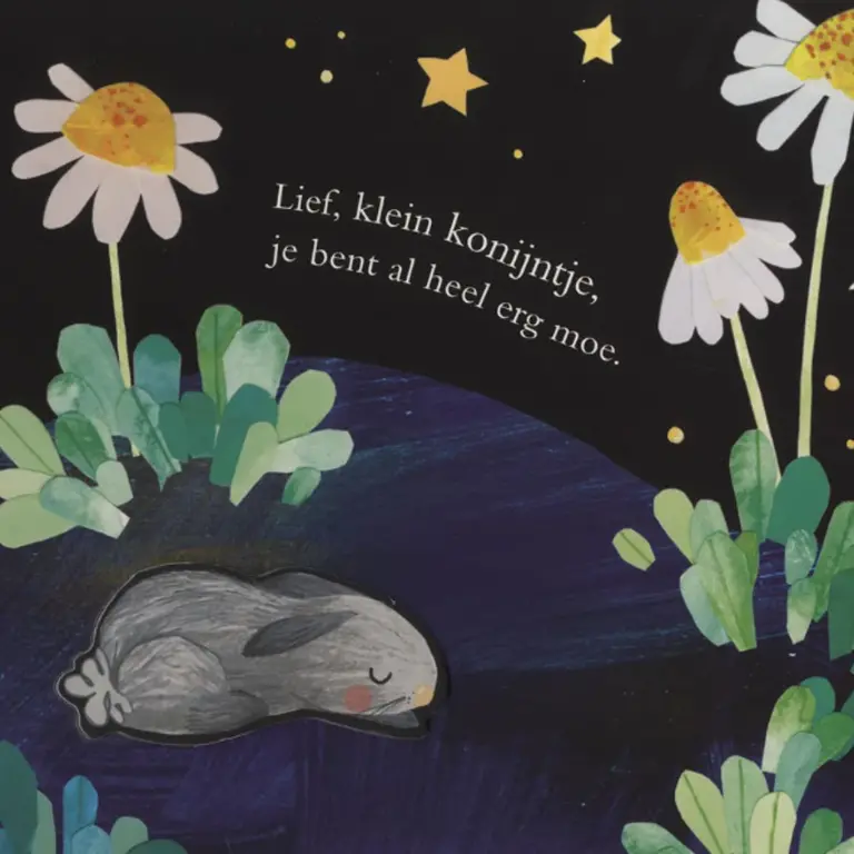 Kinderboeken Uil houdt van jou