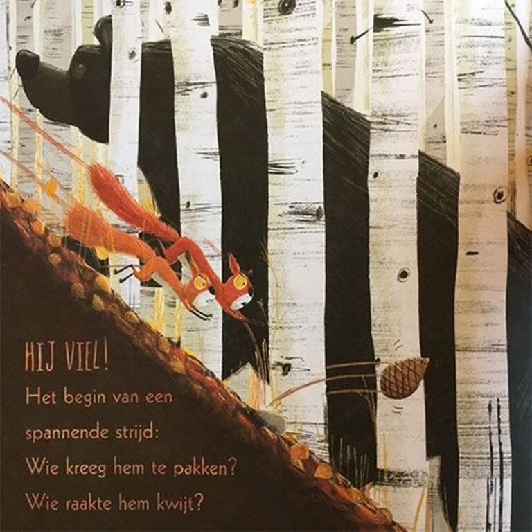 Kinderboeken Twee vechtende eekhoorntjes