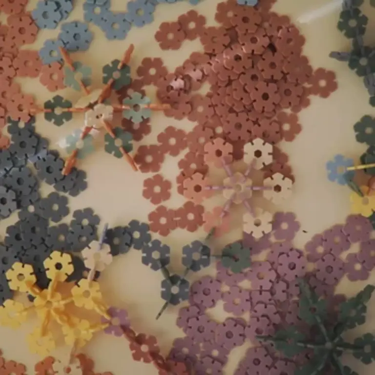 Mushie Connect Toy Hex