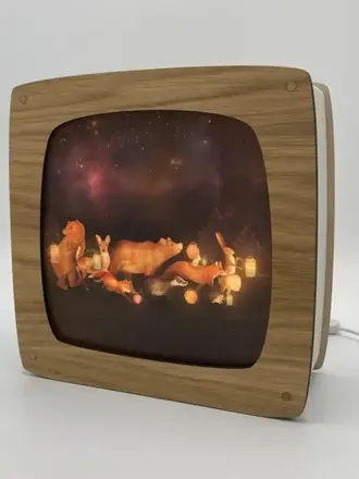 Luminae Plaat-Lantern Procession