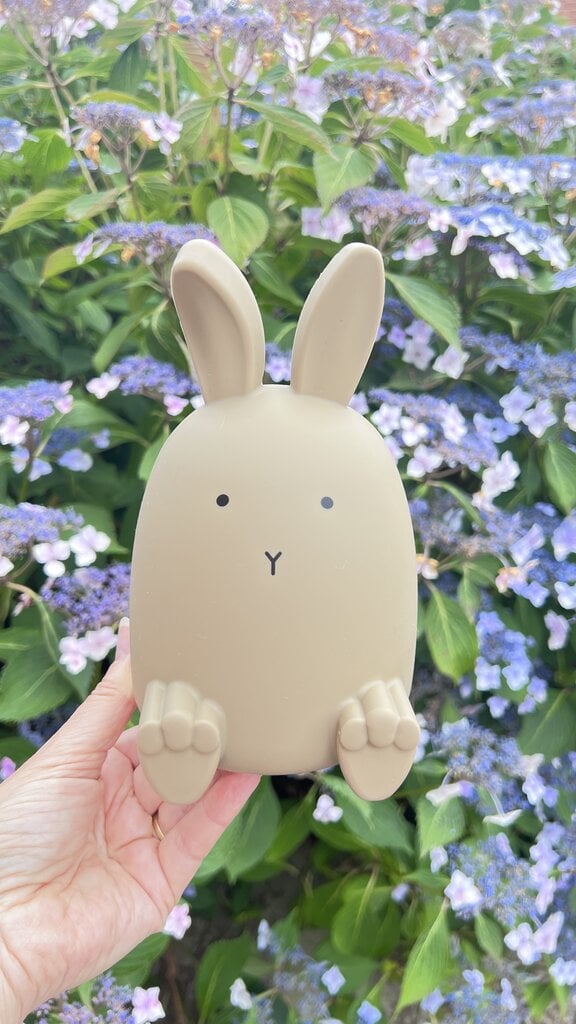 Liewood Palma money bank Rabbit oat