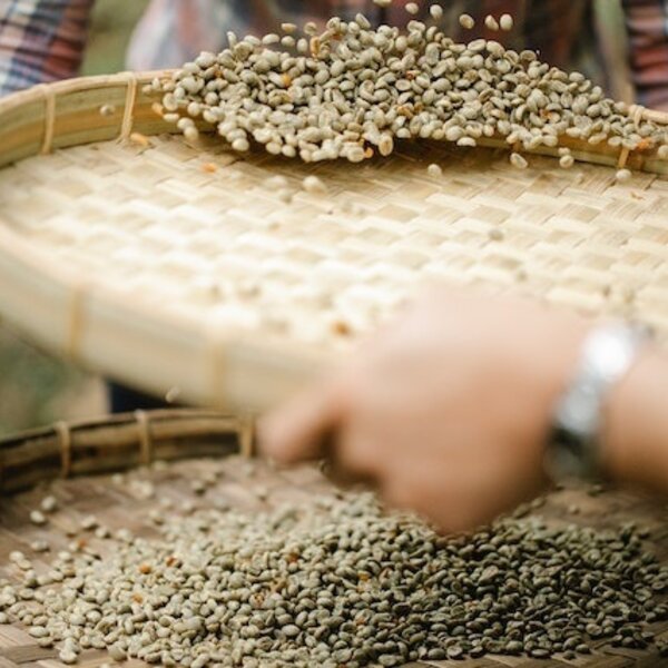 Grains de café espresso Single Origin Nicaragua – 1000 grammes