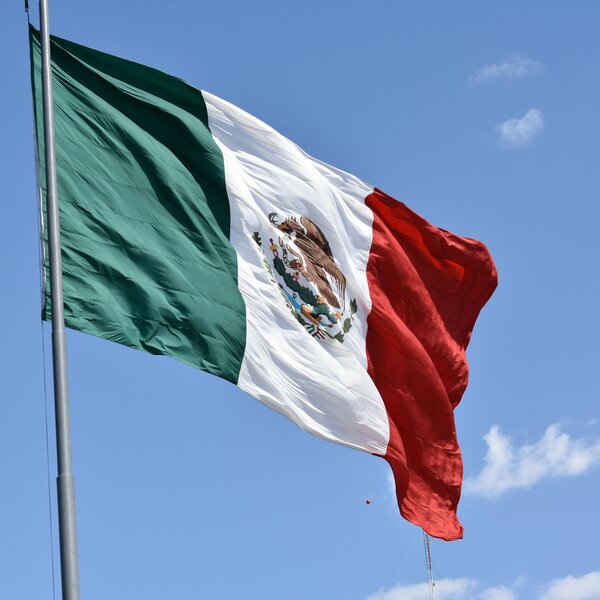 Grains de café Single Origin Mexique – 250 grammes