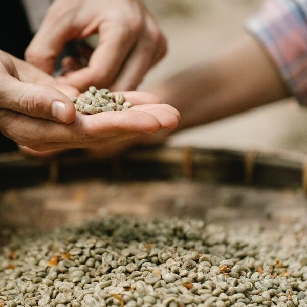 Grains de café Single Origin Brésil – 250 grammes