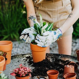 9 tips: Waarom  koffiedik geweldig is voor je tuin!