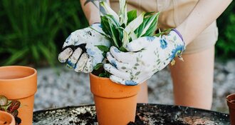 9 astuces : Pourquoi le marc de café est excellent pour votre jardin !