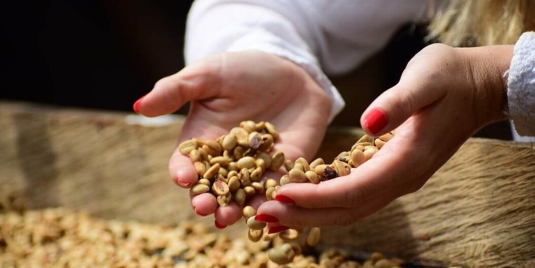 Pourquoi est-il important d'acheter un café certifié ?