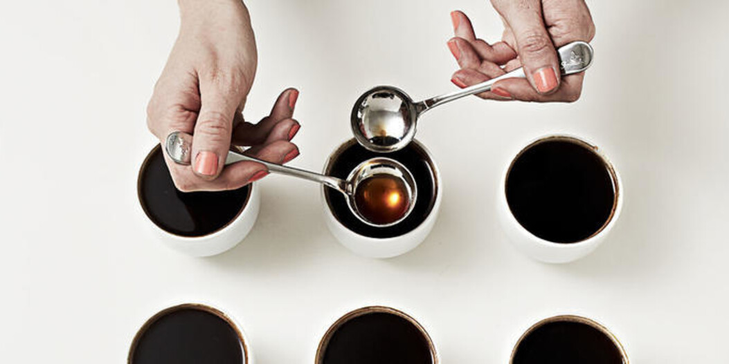 Un filtre à eau pour votre machine à café : votre café a-t-il meilleur goût grâce à cela ?