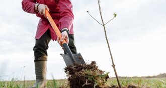 Geef nu €0,35 bij je bestelling voor nieuwe bomen die CO₂ opnemen