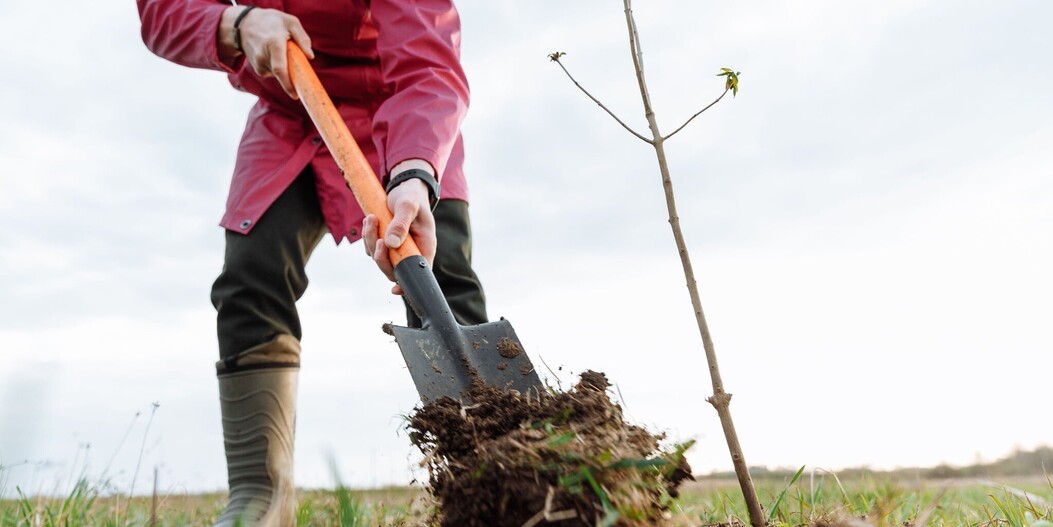 Ajoutez dès maintenant 0,35 € à votre commande pour financer la plantation de nouveaux arbres qui absorbent le CO₂