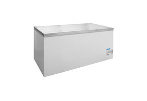 Diepvrieskist model BD 390 F