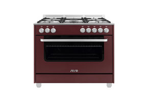 Multifunctioneel gasfornuis met electrische oven model TS95C61LVI