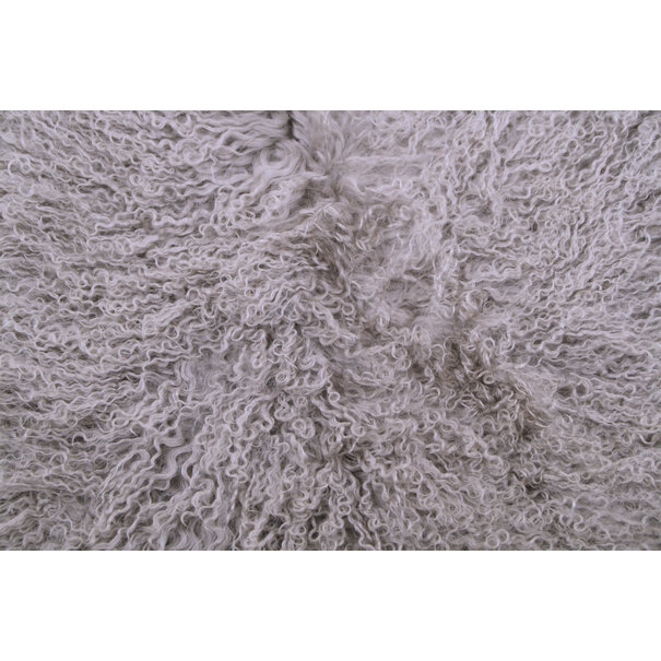 Van Buren seit 1861 Lockig Tibet Schaffell Taupe - Groß (ca. 90-100 cm)