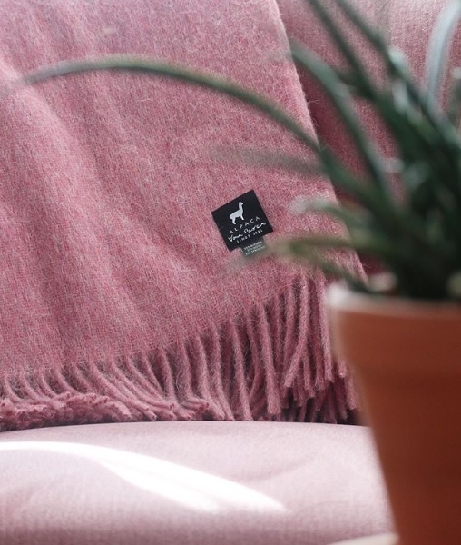 Plaid Alpakawolle in Rosa