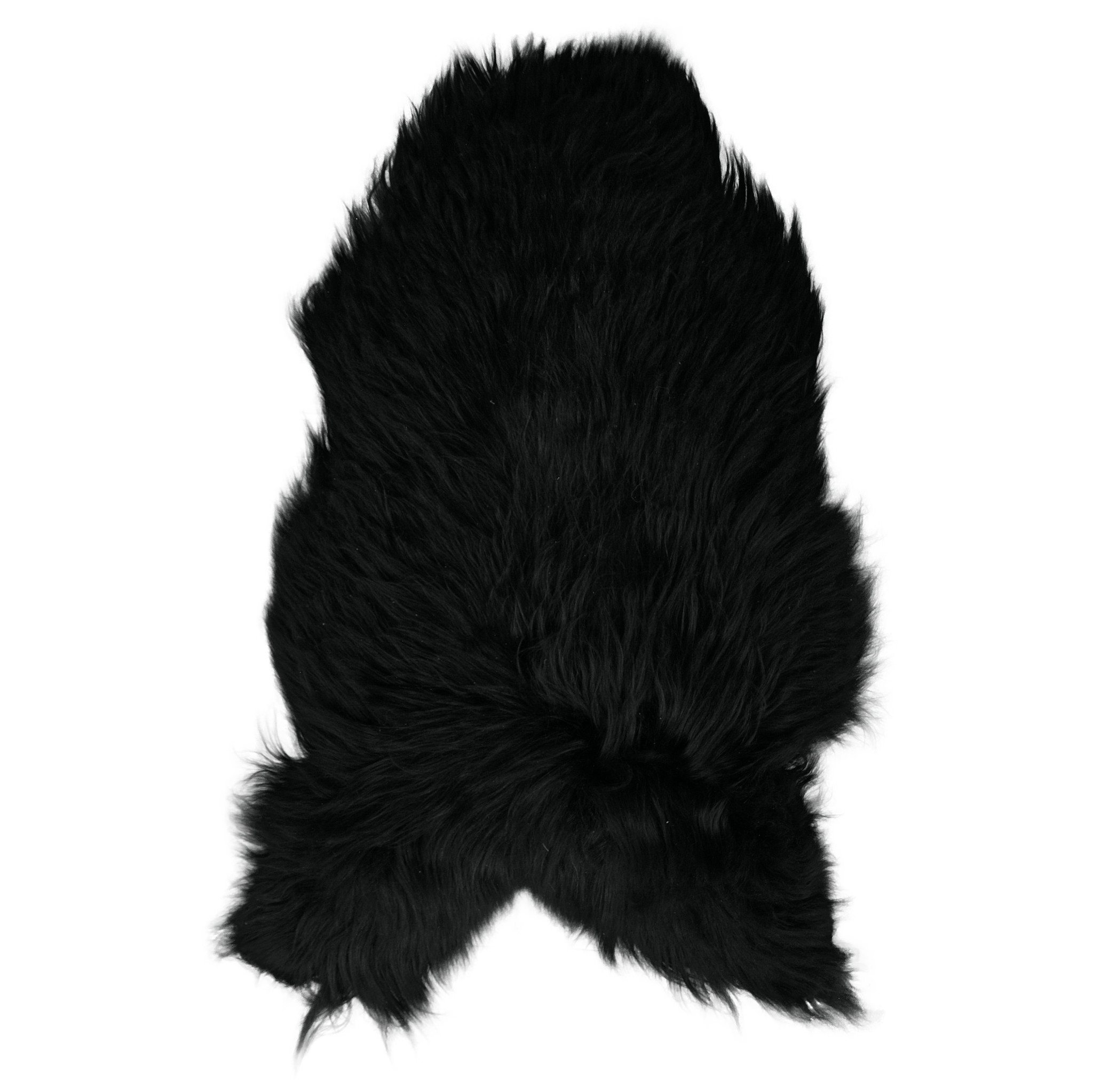 Schwarzes Isländisches Schaffel