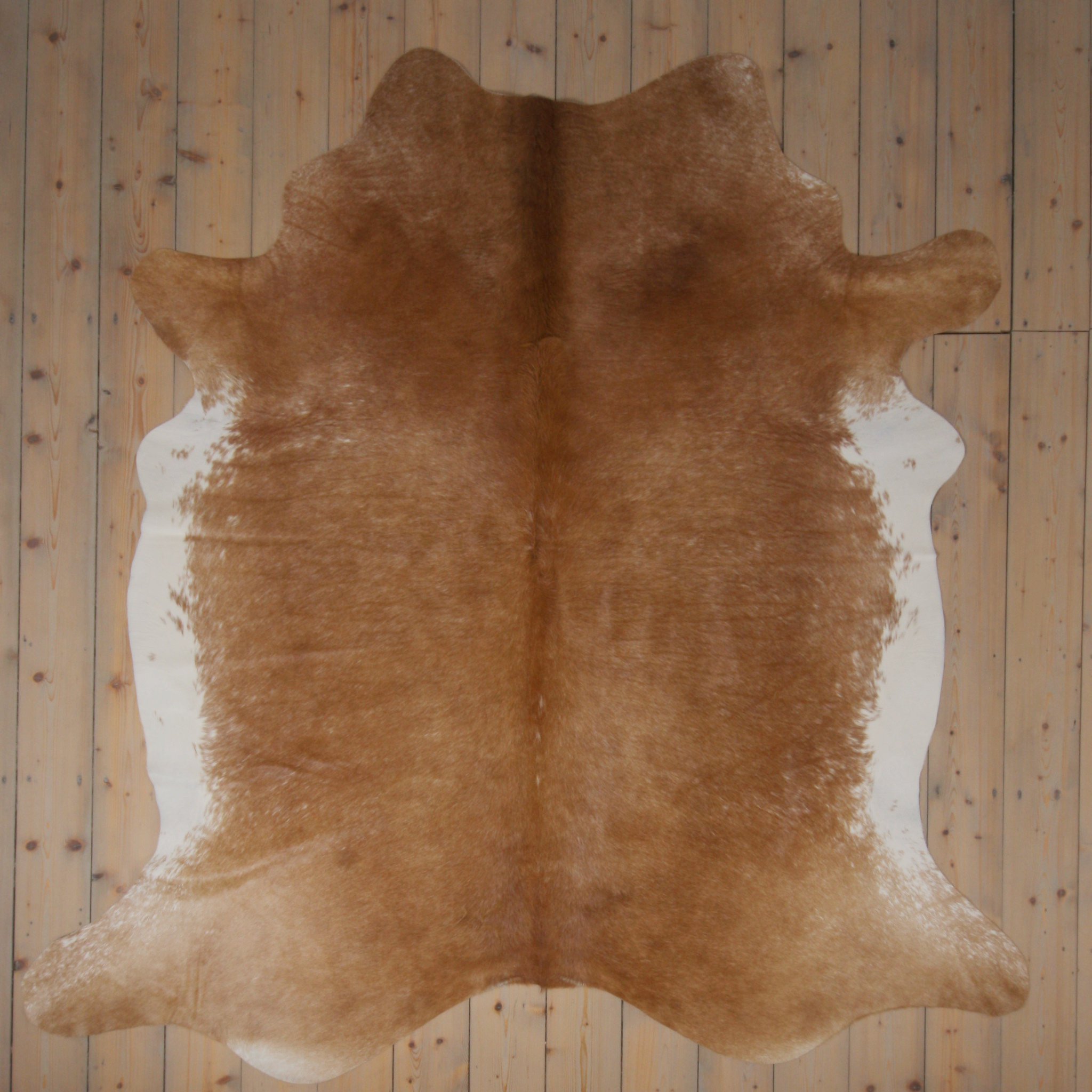 Separat Fotografiert Kuhfell WW-BE005 - Beige - 3-4m² - ca. 210x220cm