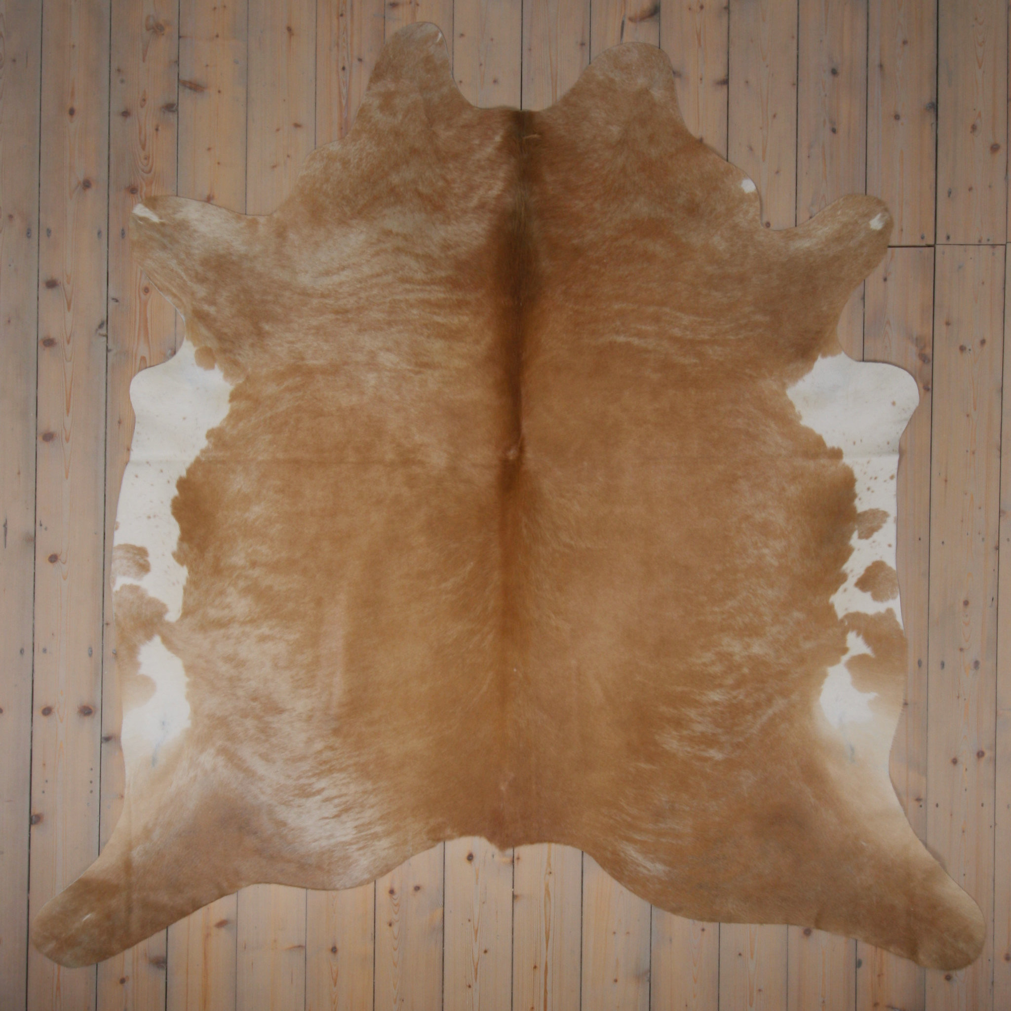Separat Fotografiert Kuhfell WW-BE006 - Beige - 3-4m² - ca. 220x220cm