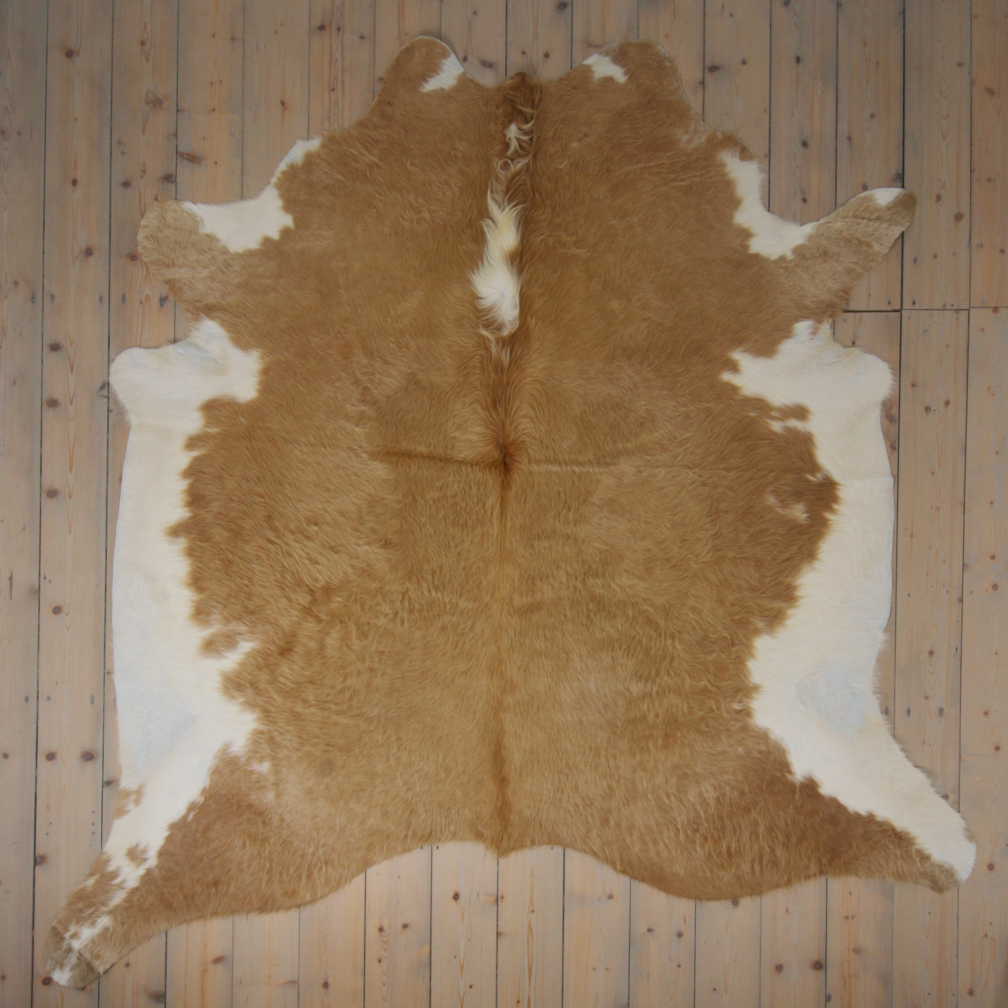 Separat Fotografiert Kuhfell WW-BE007 - Beige - 3-4m² - ca. 225x225cm