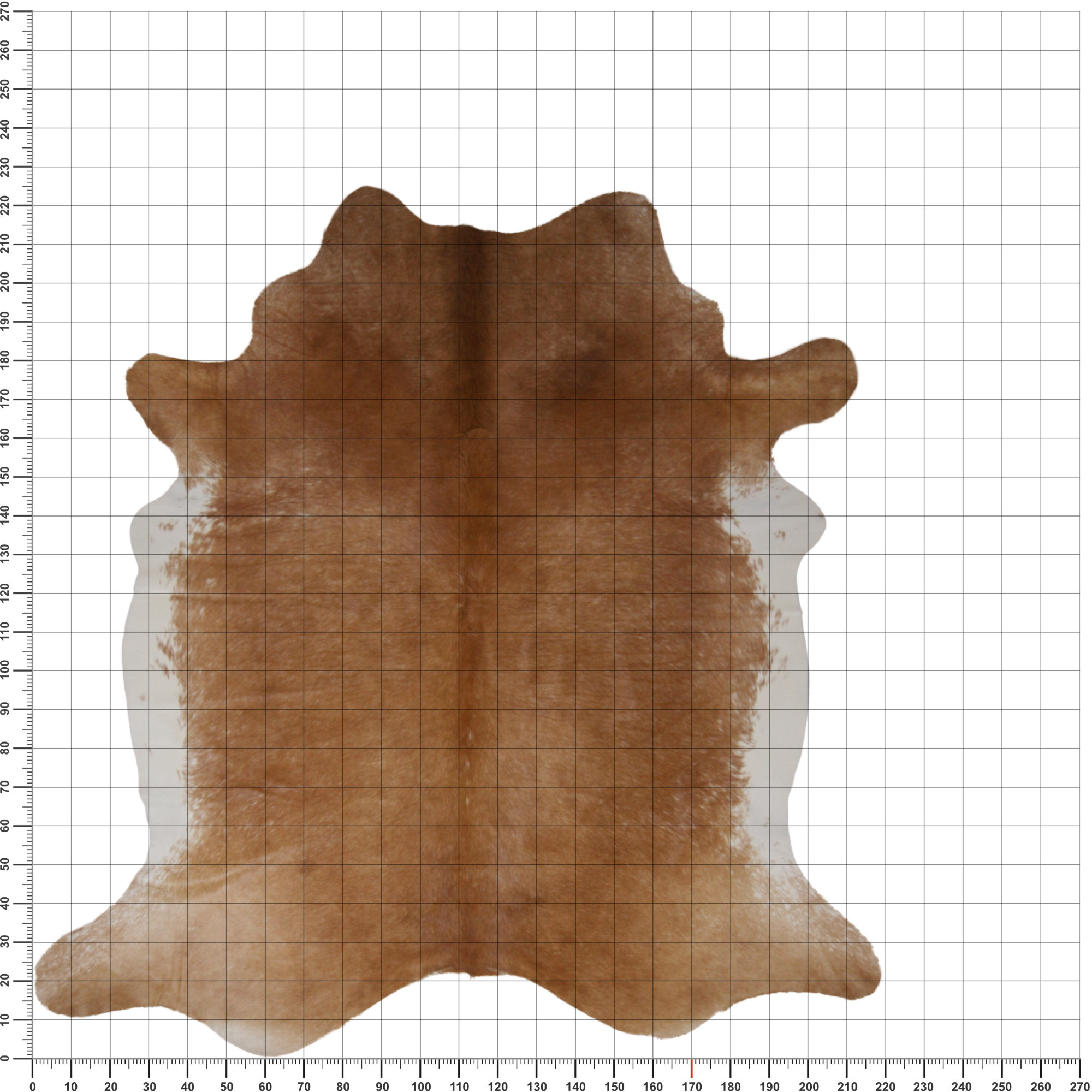 Separat Fotografiert Kuhfell WW-BE005 - Beige - 3-4m² - ca. 210x220cm