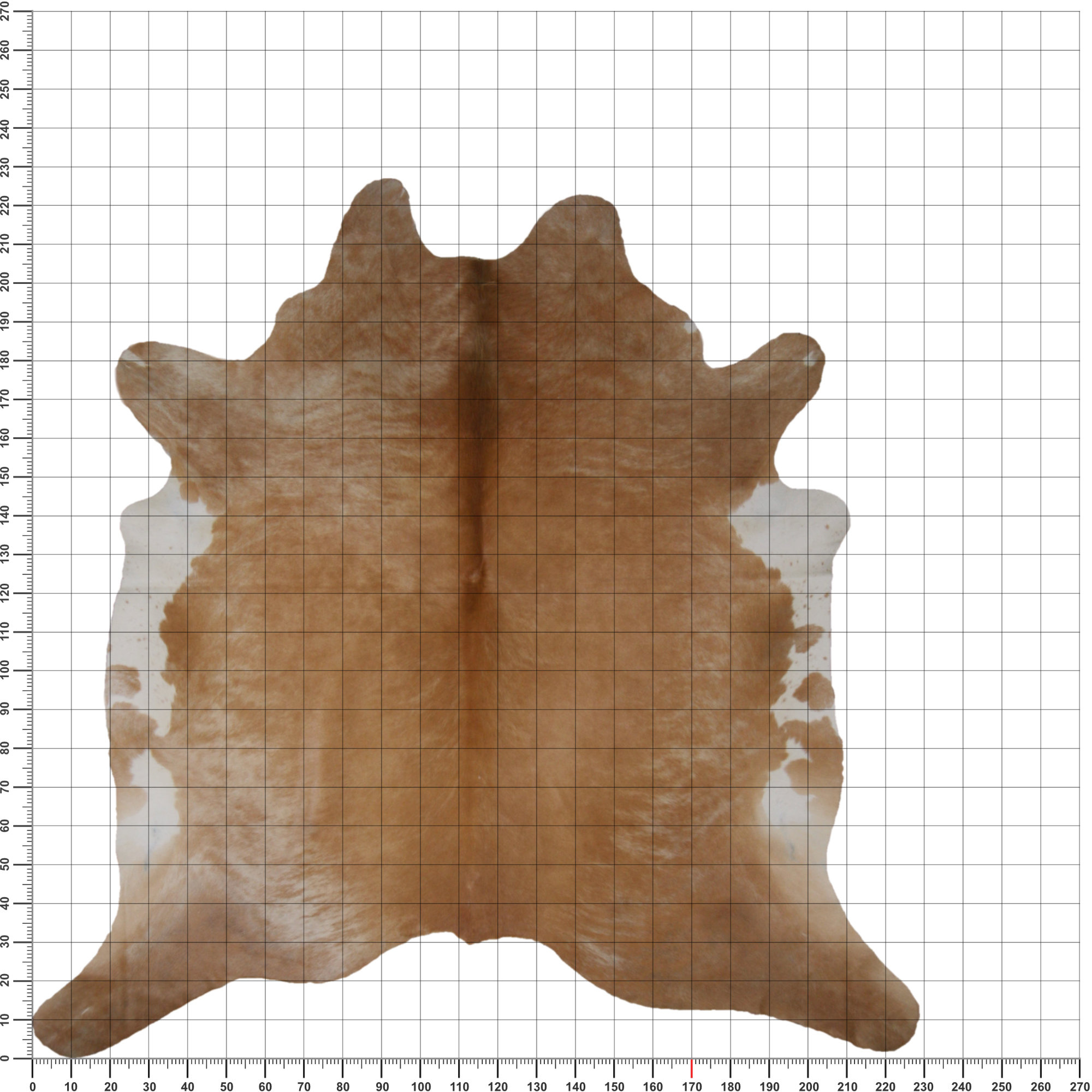 Separat Fotografiert Kuhfell WW-BE006 - Beige - 3-4m² - ca. 220x220cm