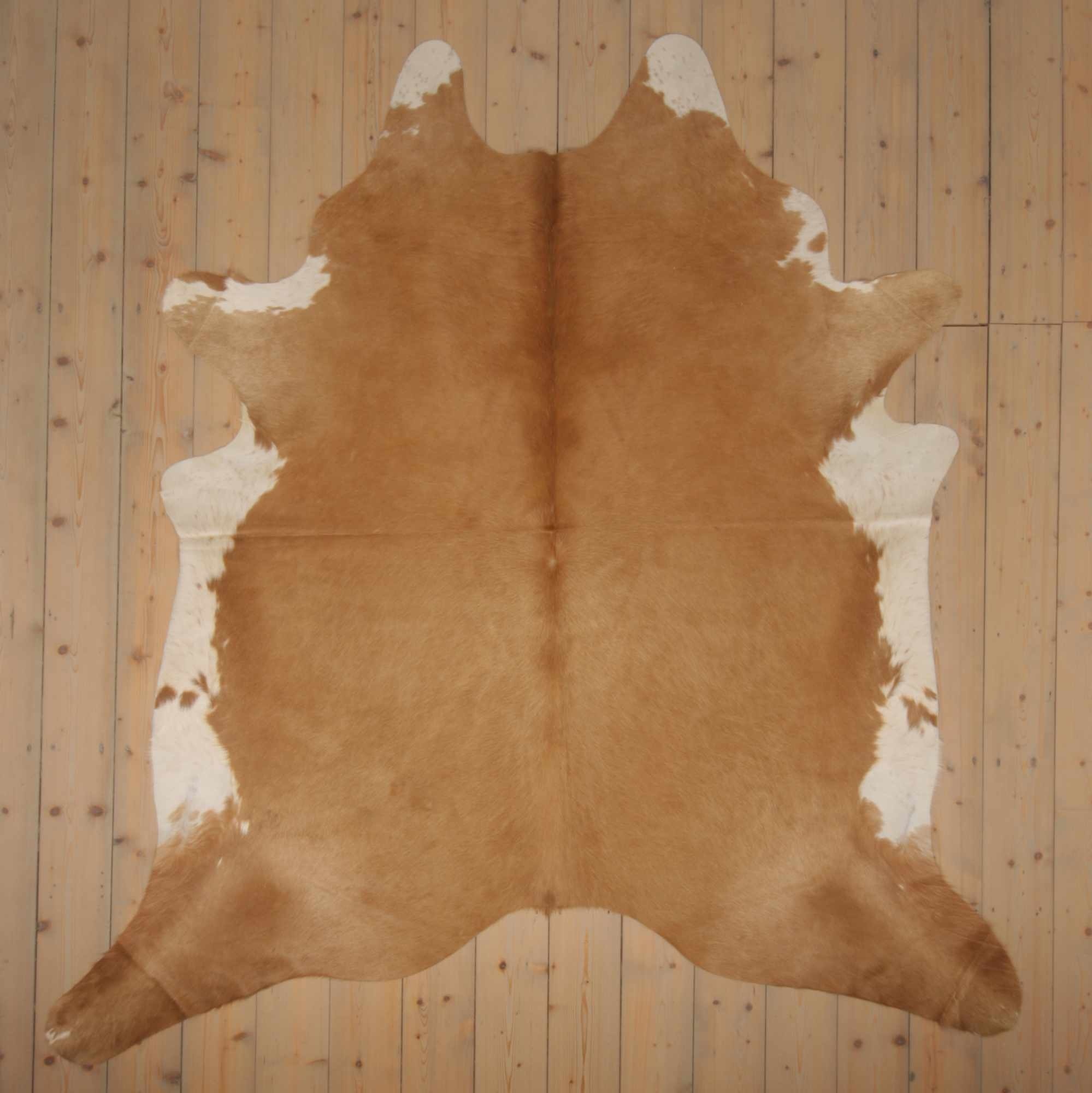 Separat Fotografiert Kuhfell BE-019 - Beige - 3-4m² - ca. 230x220cm