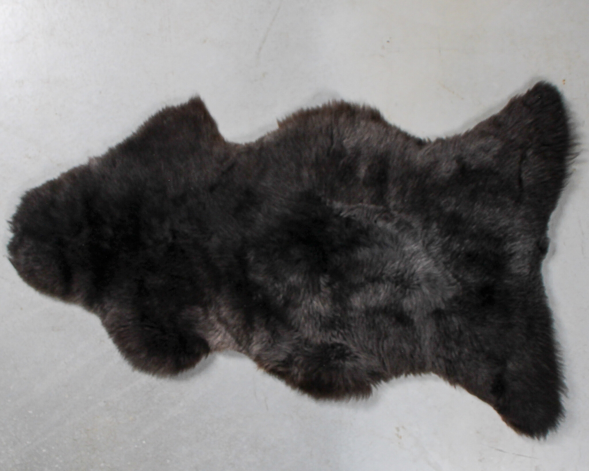 Seperat fotografiertes Texel Schaffell Gemischt - VS-109 ca 110 x 57 cm