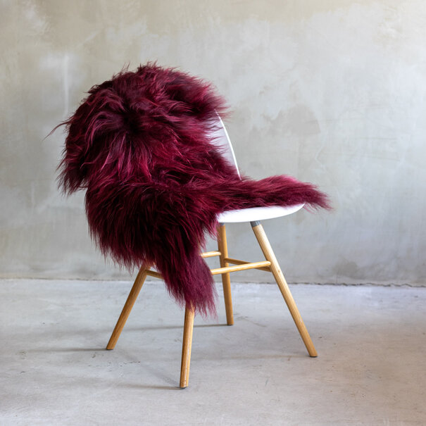 Van Buren seit 1861 Langhaariges Lockig Bordeauxrot Schaffell