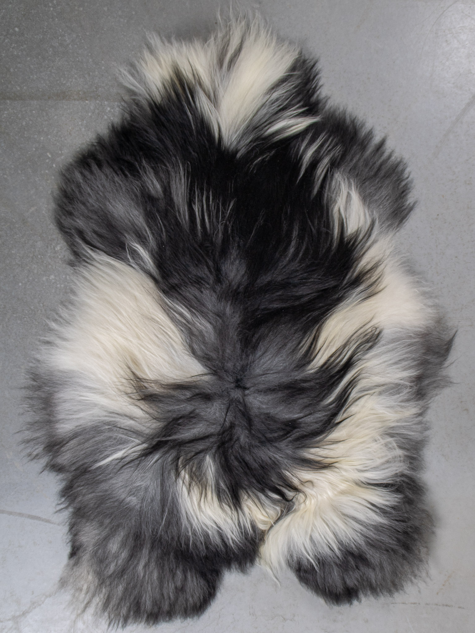 Seperat fotografiertes Schaffell Isländischer Pelz XXL - 120x73cm