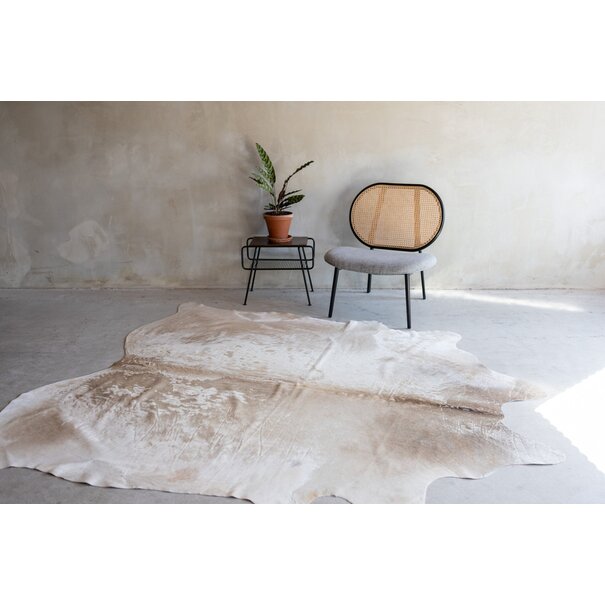 Van Buren seit 1861 Kuhfell champagne - 3-4m² - KH-002