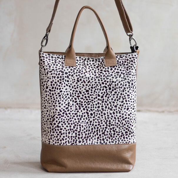 Van Buren seit 1861 Jolie - Mini dalmatiër