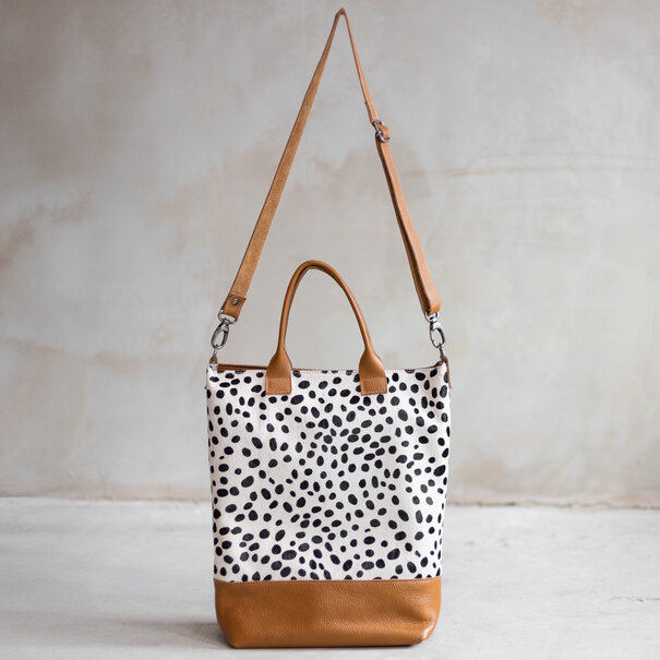 Van Buren seit 1861 Jolie - Dalmatiër