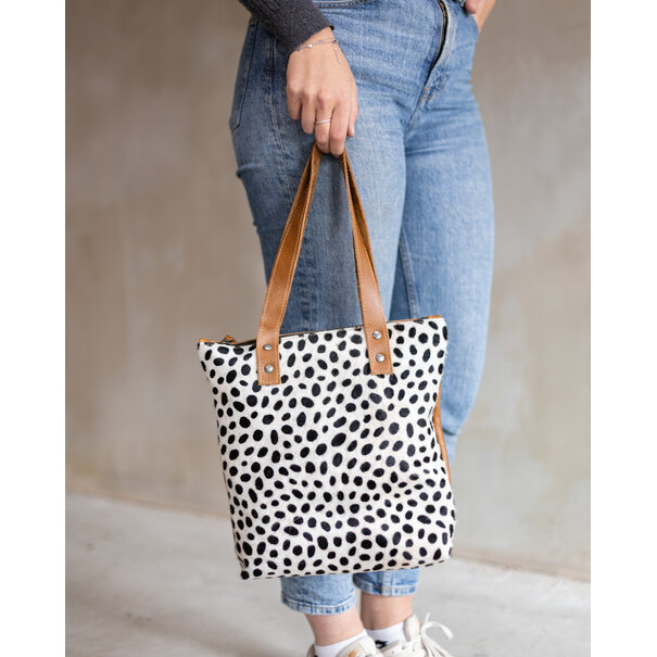 Van Buren seit 1861 Karlijn - Dalmatiner