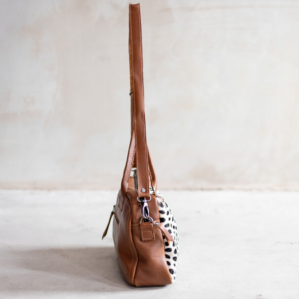 Van Buren seit 1861 Milou - Dalmatiër