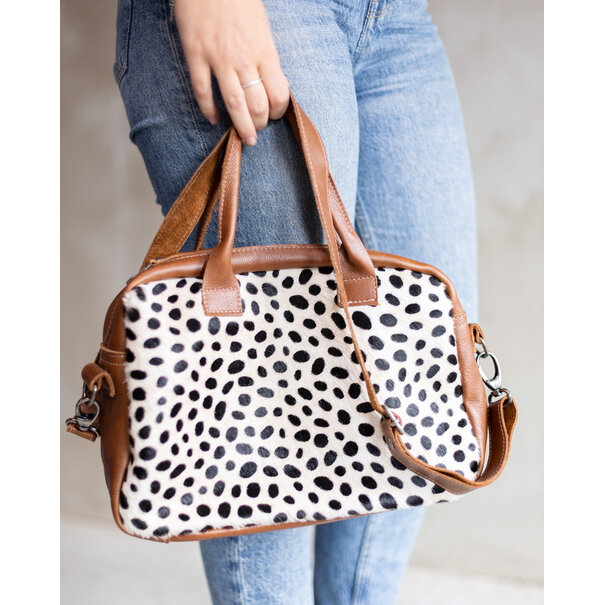 Van Buren seit 1861 Milou - Dalmatiër