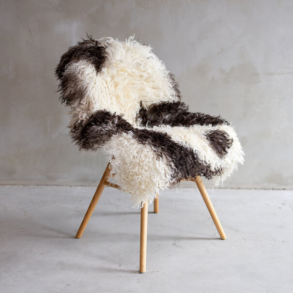 Van Buren seit 1861 Lockenfell - ca. 110x61cm - SVV-519