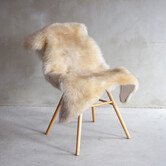 Deutsches Schwarzkopf - ca. 115x70cm - SVV-480