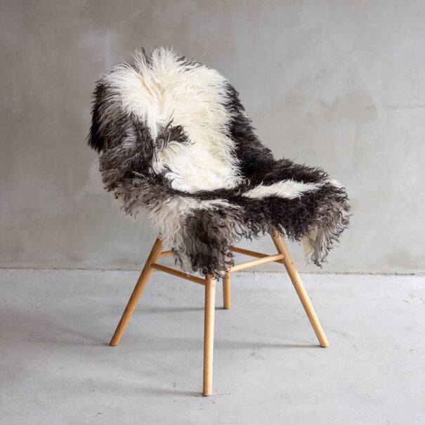 Van Buren seit 1861 Lockenfell - ca. 110x55cm - SVV-521