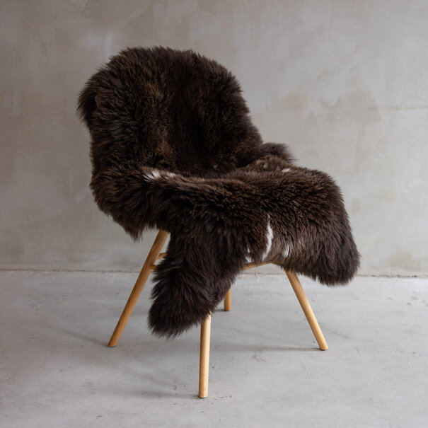 Van Buren seit 1861 Texeler Gescheckt GR S - ca. 128x75cm - SVV-501