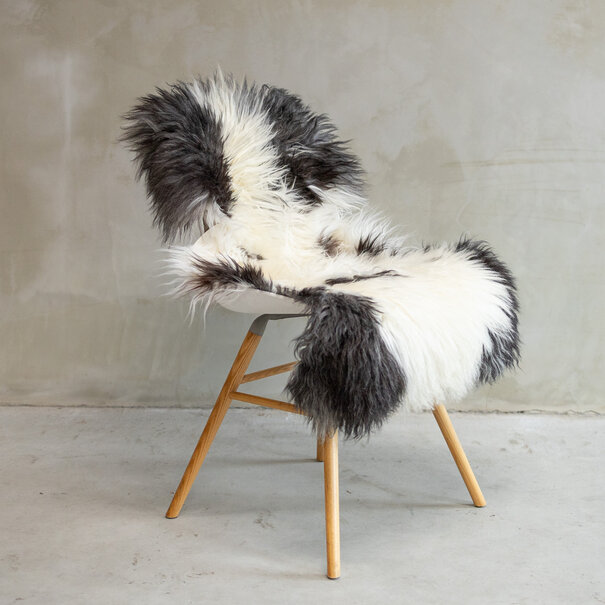 Van Buren seit 1861 Tibetisch Schaffell Bunt - SVV-579 - ca. 114x60cm