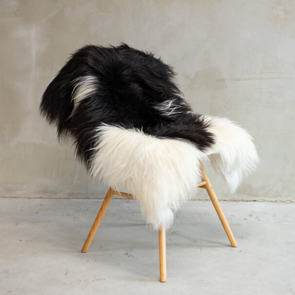 Van Buren seit 1861 Isländisch Schaffell Bunt - SVV-549 - ca. 127x77cm