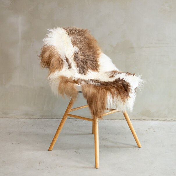 Van Buren seit 1861 Tibetisch Schaffell Bunt - SVV-573 - ca. 112x70cm