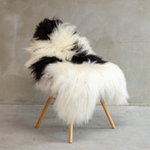 Einzigartig fotografiertes Isländisches schwarzbuntes Schaffell ca. 112x77cm - SVV-616