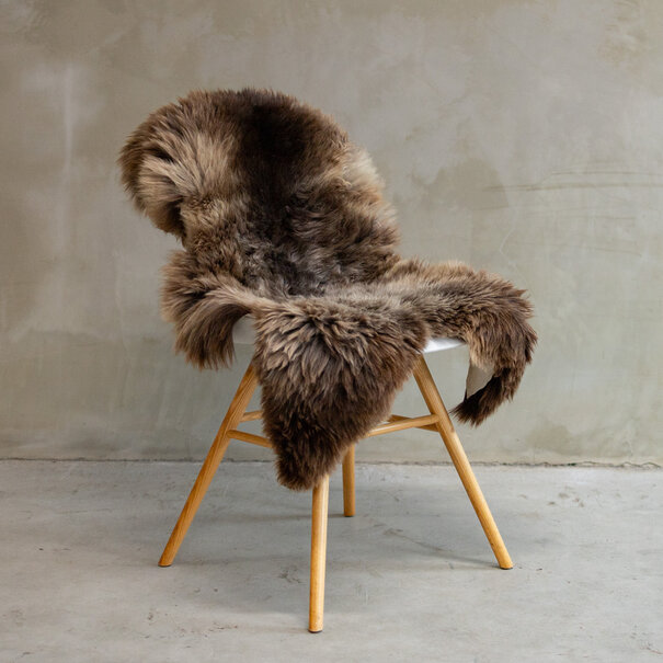 Van Buren seit 1861 Einzigartig fotografiertes Blauer Texeler Schaffell ca. 104x64cm - SVV-628