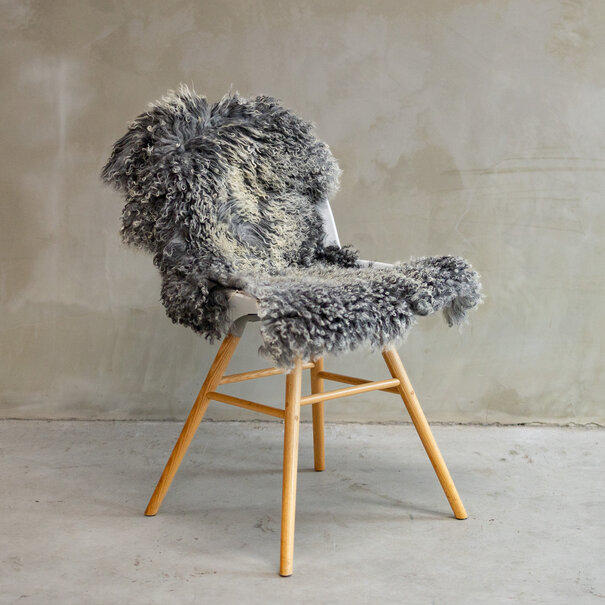 Van Buren seit 1861 Einzigartig fotografiertes Tibetisches graues Schaffell ca. 104x60cm - SVV-596