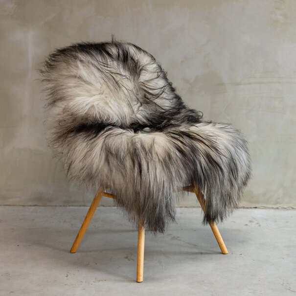 Van Buren seit 1861 Einzigartig fotografiertes Isländisches graues Schaffell XXL ca. 123x87cm - SVV-612